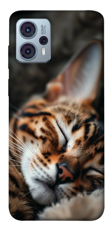 Чехол на Motorola Moto G23 Cat paws фото 1 из 1