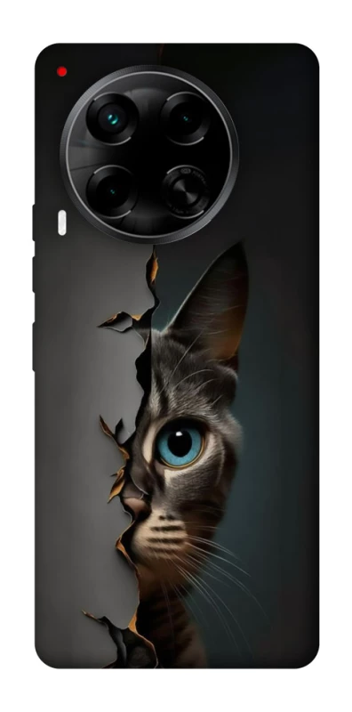 Чехол на TECNO Camon 30 (CL6) Кот-подглядыватель v2 фото 1 из 1