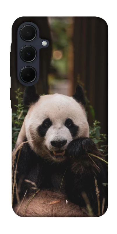 Чохол на Samsung Galaxy A55 Панда фото 1 з 1