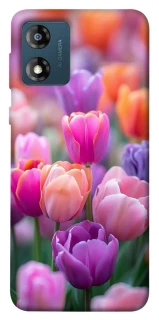 Чохол на Motorola Moto E13 Тюльпанове поле фото 1 з 1