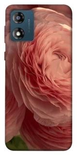 Чохол на Motorola Moto E13 Elegance фото 1 з 1