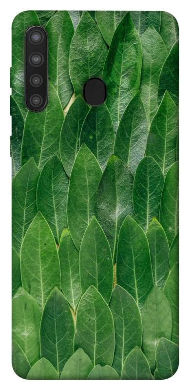 Чехол на Samsung Galaxy A21 Листья фото 1 из 1