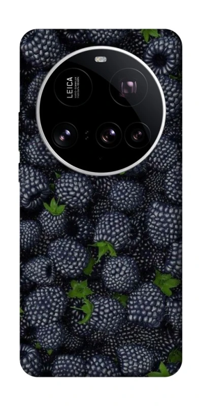 Чохол на Xiaomi 15 Ultra Fresh фото 1 з 1