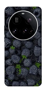 Чохол на Xiaomi 15 Ultra Fresh фото 1 з 1