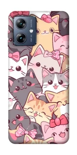 Чохол на Motorola Moto G54 Power Cute Cat фото 1 з 1