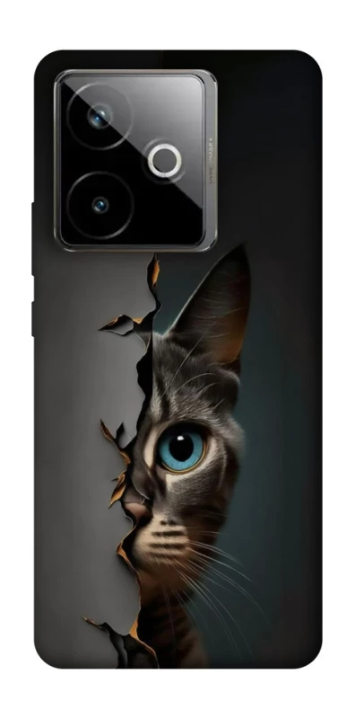 Чехол на Realme GT 7T Кот-подглядыватель v2 фото 1 из 1