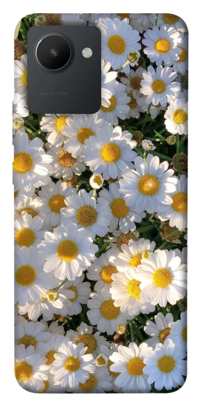 Чохол на Realme C30 Поле ромашок фото 1 з 1