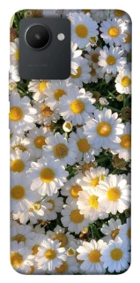 Чохол на Realme C30s Поле ромашок фото 1 з 1