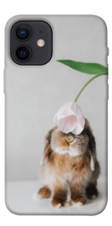 Чохол на Apple iPhone 12 mini (5.4") Bunny фото 1 з 1