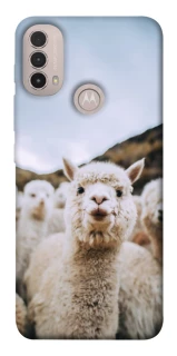 Чохол на Motorola Moto E40 Лама фото 1 з 1
