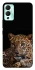 Чохол на Infinix Hot 12 Play Leopard v4 фото 1 з 1