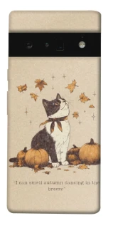 Чехол на Google Pixel 6 Pro Autumn vibes ver.3 фото 1 из 1