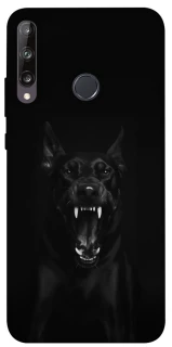 Чохол на Huawei P40 Lite E Доберман фото 1 з 1