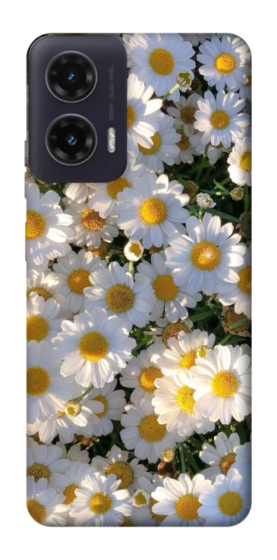 Чехол на Motorola Moto G35 Поле ромашек фото 1 из 1