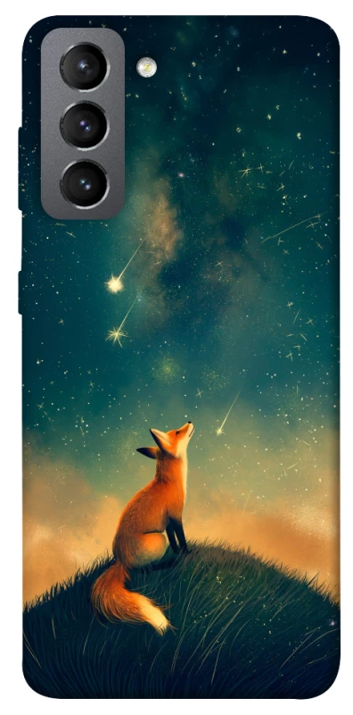 Чехол на Samsung Galaxy S21 FE Sky fox фото 1 из 1