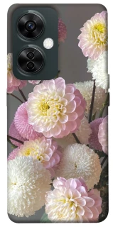 Чохол на OnePlus Nord CE 3 Lite Flowers v2 фото 1 з 1