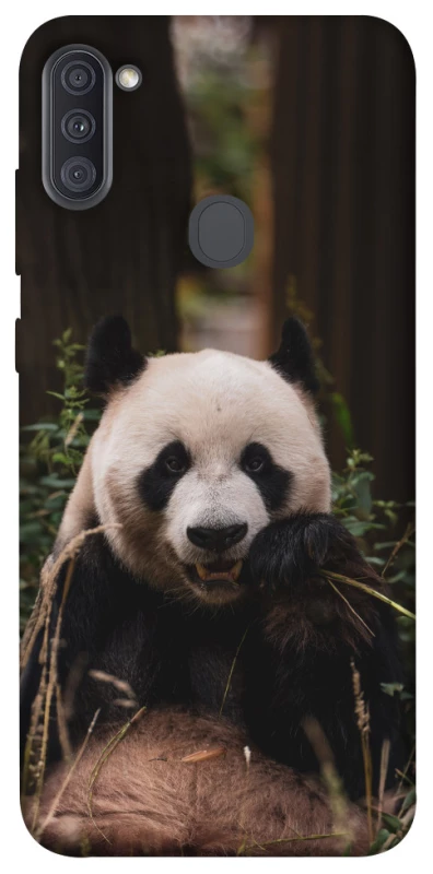Чохол на Samsung Galaxy A11 Панда фото 1 з 1