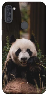 Чохол на Samsung Galaxy A11 Панда фото 1 з 1
