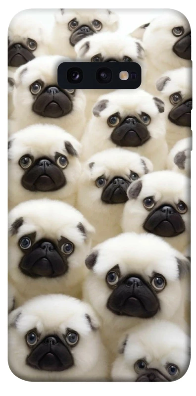 Чохол на Samsung Galaxy S10e Doggy Pug Love фото 1 з 1