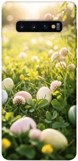 Чехол на Samsung Galaxy S10+ Hello Spring фото 1 из 1