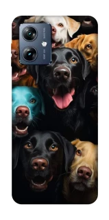 Чехол на Motorola Moto G54 Power Собаки фото 1 из 1