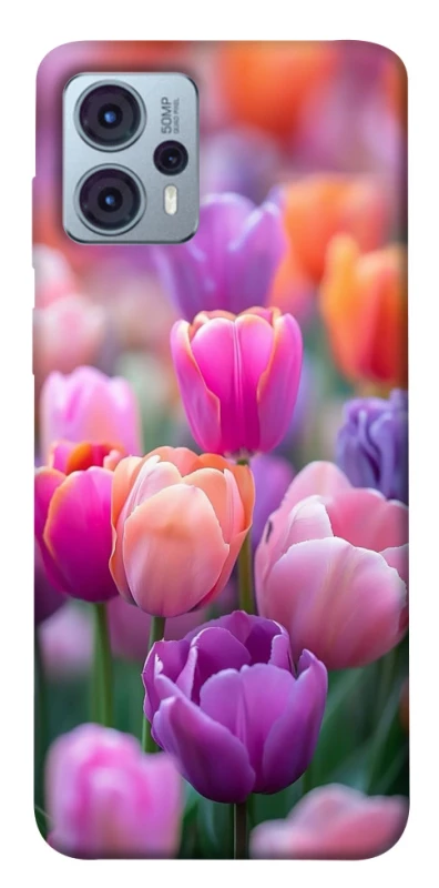 Чохол на Motorola Moto G23 Тюльпанове поле фото 1 з 1