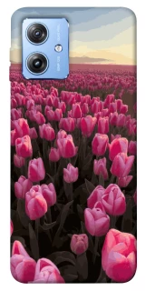 Чохол на Motorola Moto G84 Spring Awakening фото 1 з 1