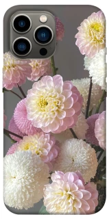 Чехол на Apple iPhone 13 Pro Max (6.7") Flowers v2 фото 1 из 1