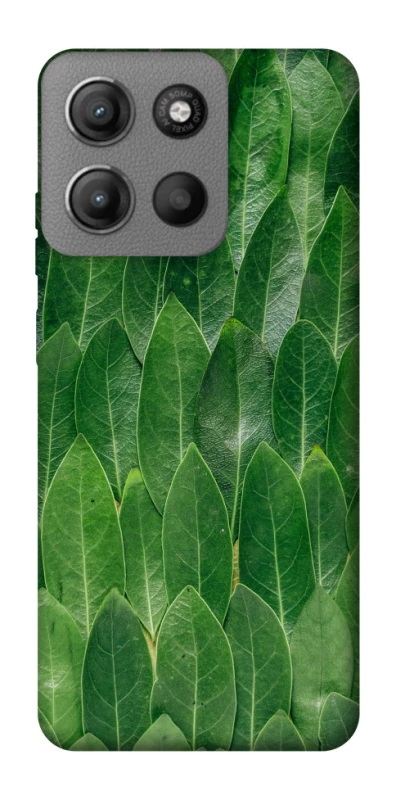 Чехол на Motorola Moto G15 Power Листья фото 1 из 1