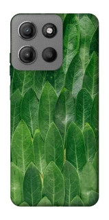 Чехол на Motorola Moto G15 Power Листья фото 1 из 1