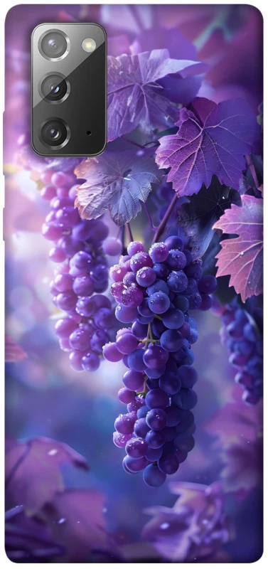 Чохол на Samsung Galaxy Note 20 Bunch of grapes фото 1 з 1