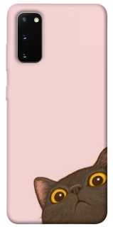 Чехол на Samsung Galaxy S20 Peeping cat фото 1 из 1