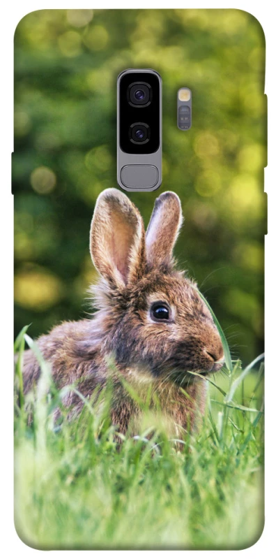Чохол на Samsung Galaxy S9+ Кролики фото 1 з 1