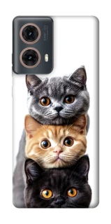 Чохол на Motorola Moto G85 Гарні котики фото 1 з 1