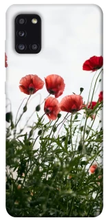 Чохол на Samsung Galaxy A31 Поле маків фото 1 з 1