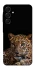 Чохол на Samsung Galaxy A16 4G/5G Leopard v4 фото 1 з 1