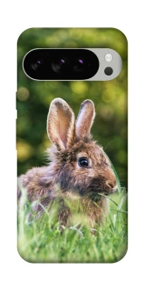 Чехол на Google Pixel 10 Pro Кролики фото 1 из 1