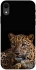 Чохол на Apple iPhone XR (6.1") Leopard v4 фото 1 з 1
