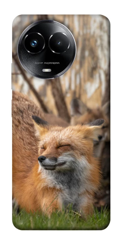 Чехол на Realme C67 4G Лиса фото 1 из 1
