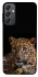 Чохол на Samsung Galaxy A24 4G Leopard v4 фото 1 з 1