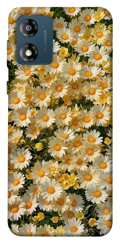 Чохол на Motorola Moto E13 Camomile фото 1 з 1