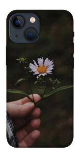 Чехол на Apple iPhone 13 mini (5.4") Ромашка v4 фото 1 из 1