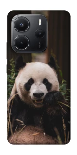 Чехол на Xiaomi Redmi Note 14 4G (Int. version) Панда фото 1 из 1