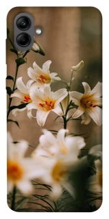 Чохол на Samsung Galaxy A04 Лілії фото 1 з 1