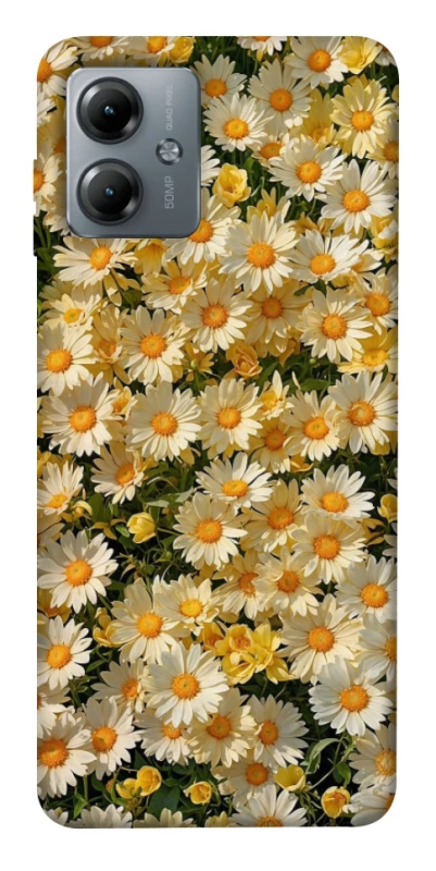 Чохол на Motorola Moto G14 Camomile фото 1 з 1