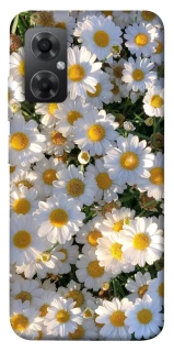 Чохол на Xiaomi Redmi Note 11R Поле ромашок фото 1 з 1