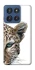 Чехол на Motorola Edge 60 Stylus Leopard Art v2 фото 1 из 1