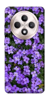 Чохол на Oppo Reno 12 F 4G/5G Flowers v17 фото 1 з 1