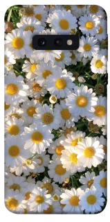 Чохол на Samsung Galaxy S10e Поле ромашок фото 1 з 1