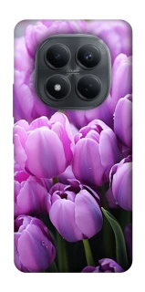 Чехол на Xiaomi Redmi Note 15 Pro 4G Фиолетовые тюльпаны фото 1 из 1